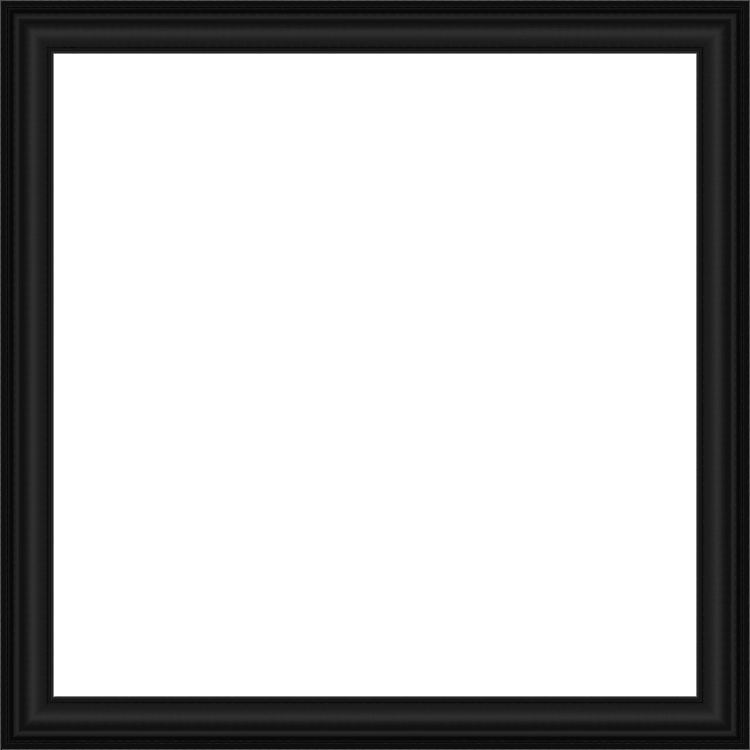 Black Colonial Panel