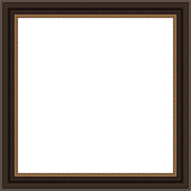 Black Gold Scoop Lip