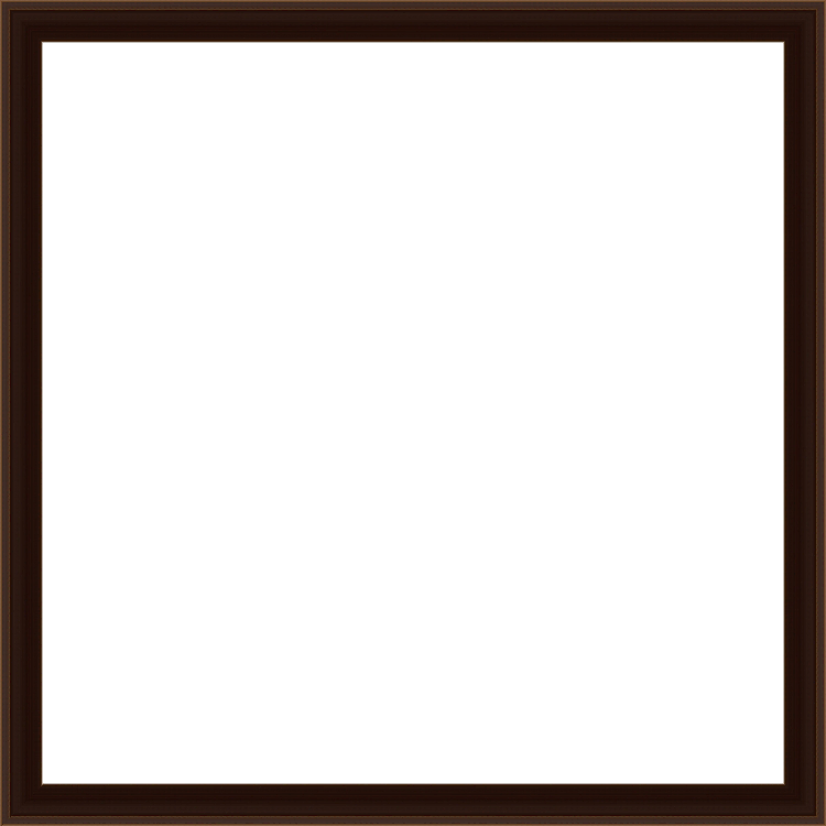 Black with Brown Shallow Scoop