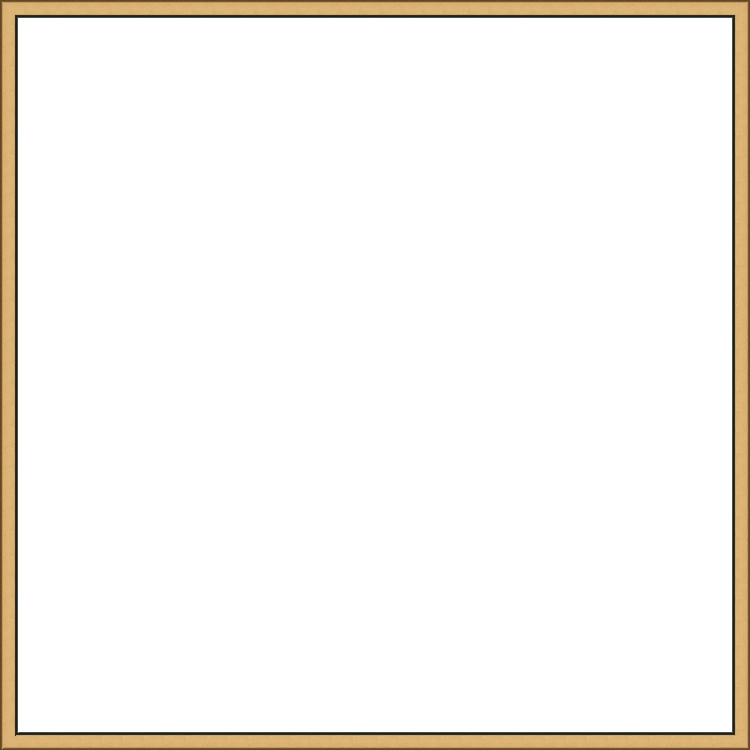 Black with Gold Top Floater 2