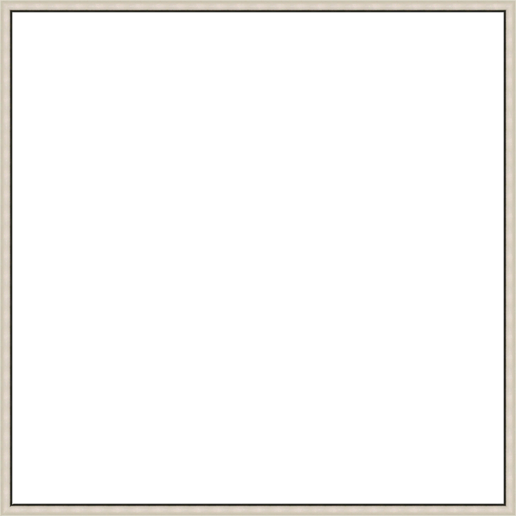 Black with Silver Top Floater