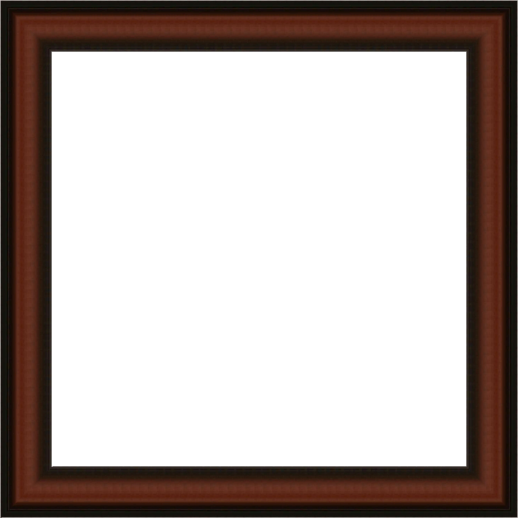 Walnut Colonial Panel